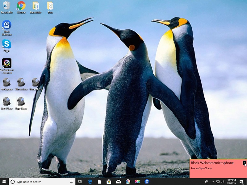 Windows 10 Block WebCam and microphone full